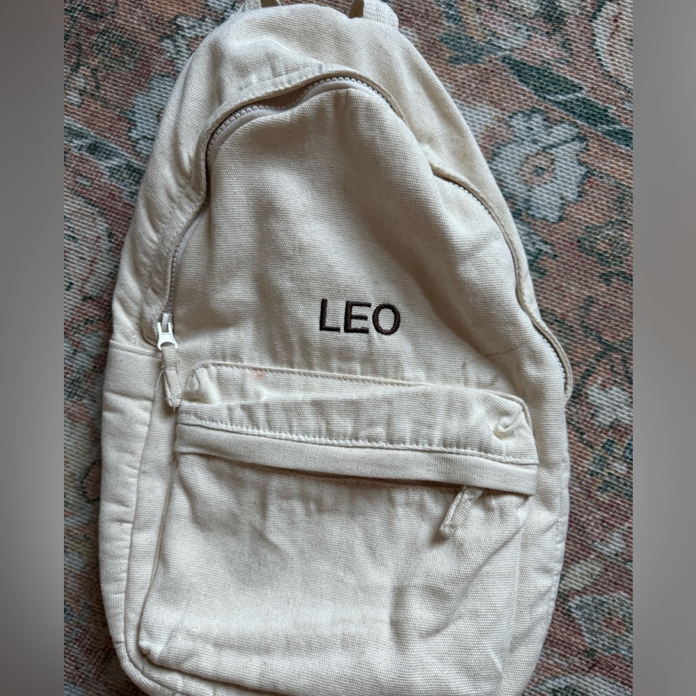 Zara Backback